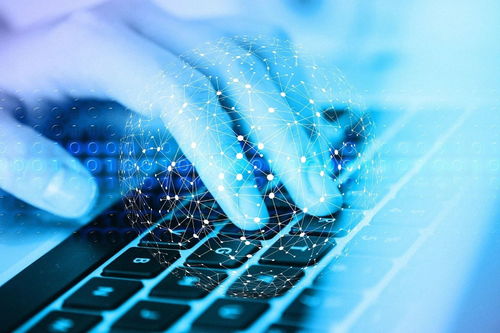 網(wǎng)絡(luò)安全入門與滲透測(cè)試學(xué)習(xí)路徑